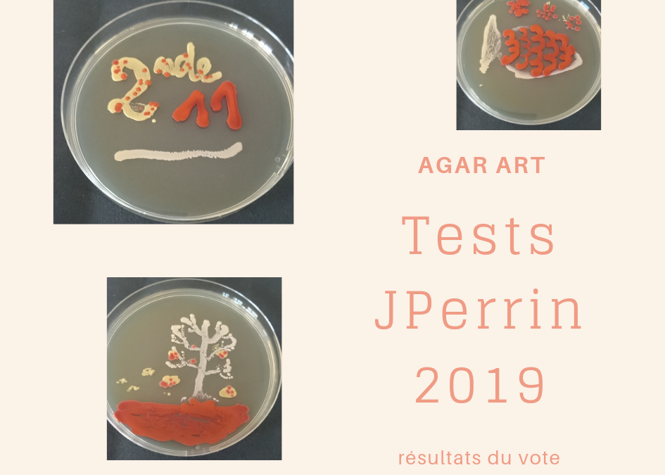 Concours Agar Art