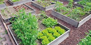 Le Potager du Lycée