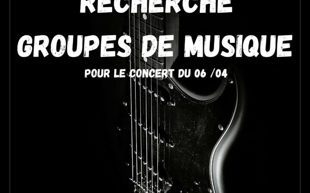 Avis de recherche pour le concert  DOT SINGER PARTY